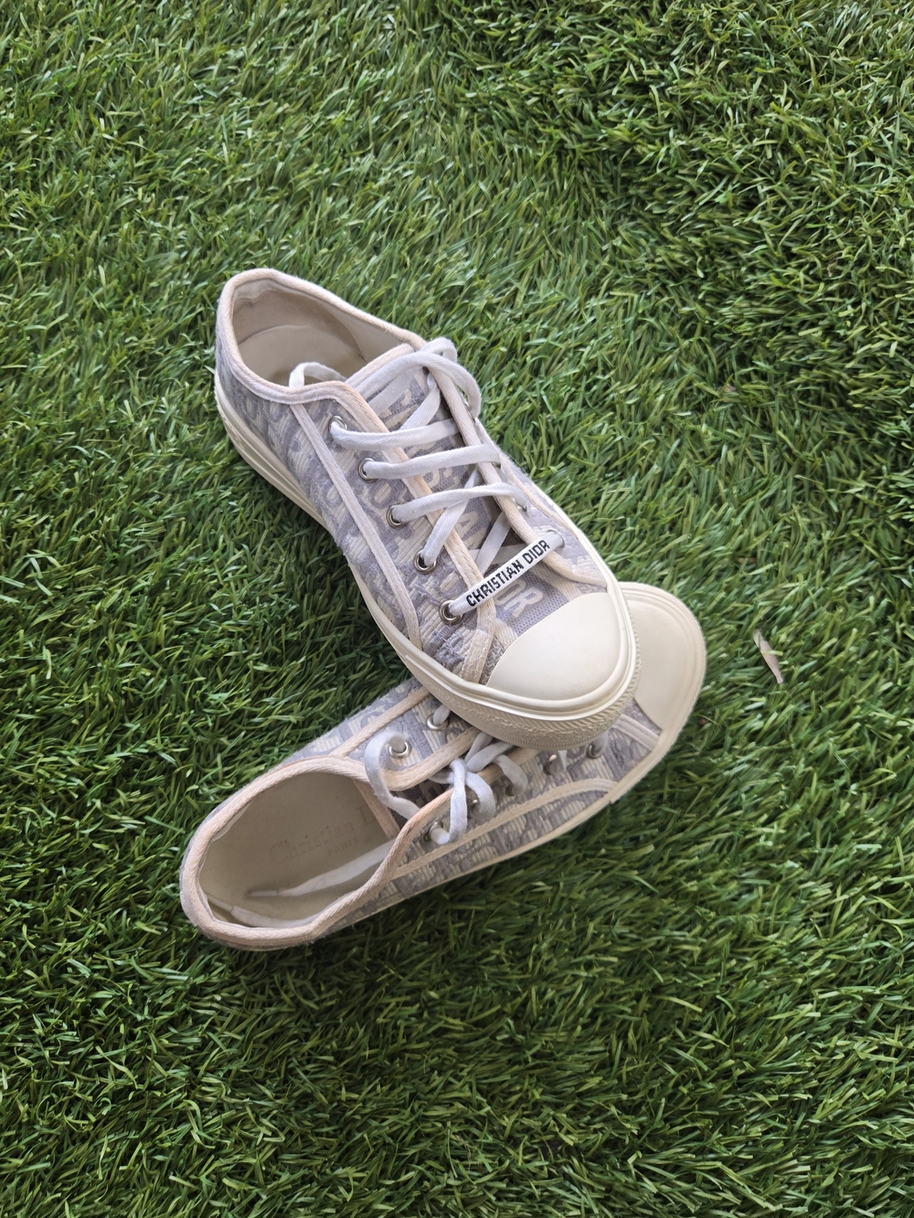 Dior Beige and White Low-Top Logo Sneaker